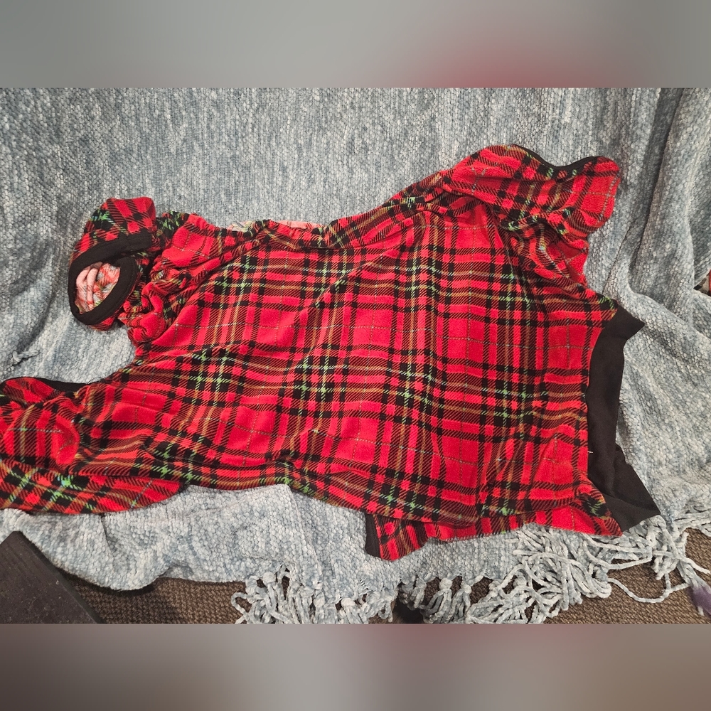 Dogs winter outfit